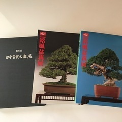 日本盆栽大観展　銘風盆栽展