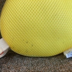 【来週処分します】ピカチュウごっつん防止の画像