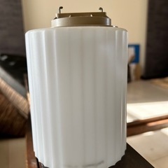 照明