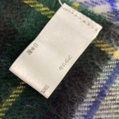 プラステ　ストール　大判の画像
