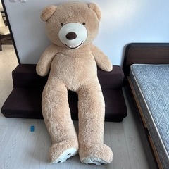 巨大　クマのぬいぐるみ