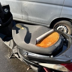 YAMAHA シグナスX	EBJ-SE44Jの画像