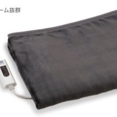  電気敷毛布（フランネル）ホットカーペット