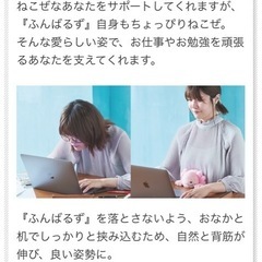 ぬいぐるみ🧸　ウーパールーパー　ふんばるずの画像