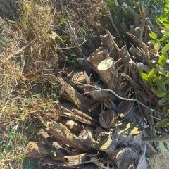 大量の薪無料