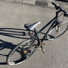 再設定 LOUIS GARNEAU(ルイガノ) TRXⅡ(TRX2)