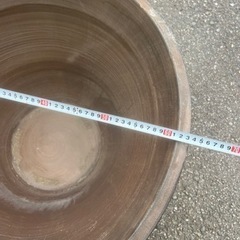 大きな鉢 の画像