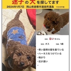 迷子です　お願いします