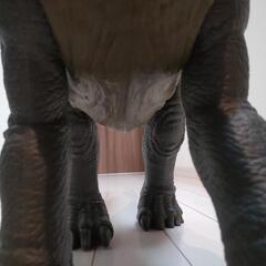 マテル ブラキオ アパトの画像