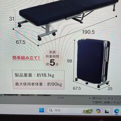 折りたたみベッド　アイリスオーヤマの画像