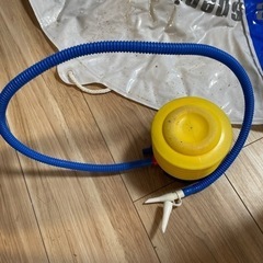 浮き輪・シャチ・ビーチボールの画像