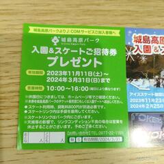 城島高原パーク入園＆スケート招待券の画像