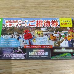 城島高原パーク入園＆スケート招待券の画像