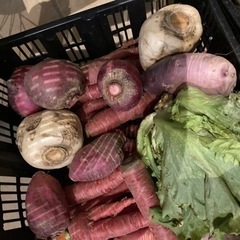 野菜いろいろの画像