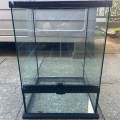 レインフォレストタンクS 中古