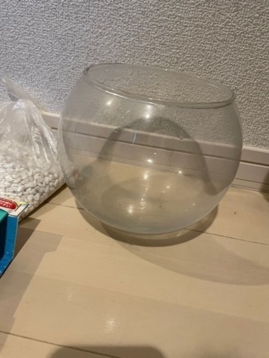 水槽&飼育セット