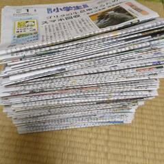 毎日小学生新聞古新聞　2023年1月から12月の画像