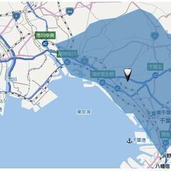 【出張お手伝い】庭木の剪定やります！【格安】 - 千葉市