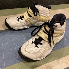 asics バスケットシューズ　24cmの画像