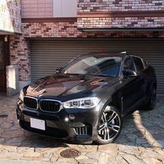 検査7年3月 X6M 575PS/ムジェロレッドフルレザーメリノ...