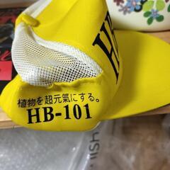 ＨＢ１０１ 非売品キャップの画像