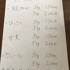 ✨無農薬　和歌山産　みかん各種　農家直送便✨