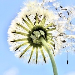 いつでも思いやりを持って人と関わっているあなたへ🧚🏻‍♀️【カウ...