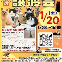 1月20日（土）猫の譲渡会 in 多摩市