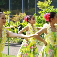駒場、玉学　フラダンス生徒募集！！の画像