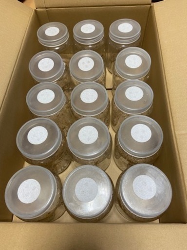 中古　空菌糸瓶800cc１５本　洗浄無し