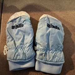 スキーグローブ