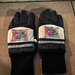 スキーグローブ