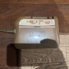 フローリング調　ホットカーペットの画像