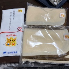 かんぽ生命　ブランケット