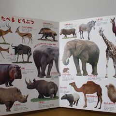 はっけんずかん　どうぶつの画像