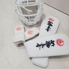 楽天市場】新極真会 dvdの通販