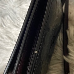 COACHの画像