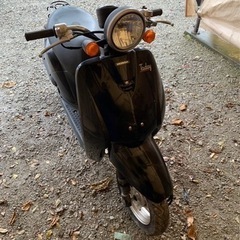 HONDA TODAY トゥデイ　原付