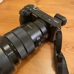 SONY a6600