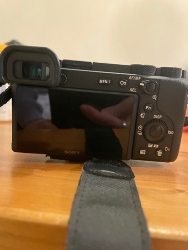 SONY a6600