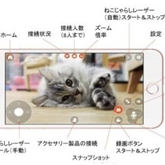 【新品】多機能ペット見守りカメラの画像