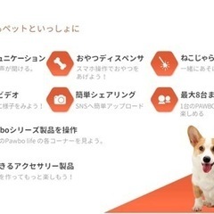 【新品】多機能ペット見守りカメラの画像