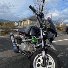 4ミニ、メンバー募集致します。