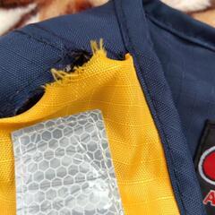 ライフジャケット　キッズの画像