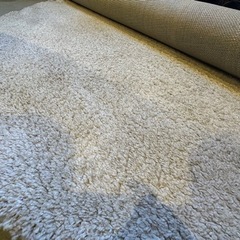 IKEA・イケア ラグ・リビングルーム ADUM ラグ パイル長, オフホワイト, 195 cm (102.712.65) の画像