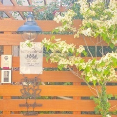 ホットヨガサロン Happiness Poodle Salon Breath です。の画像