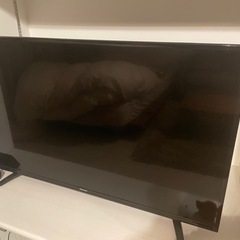 ハイセンス　43インチ　テレビ