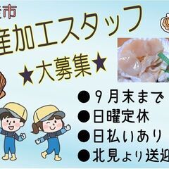 (派)ホタテの貝むき＜網走＞