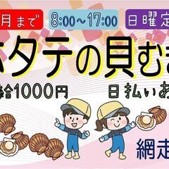 【10月まで】ホタテの貝むき＜網走＞