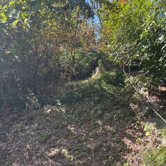 家庭菜園・ソロキャンプ用地・遊び場など